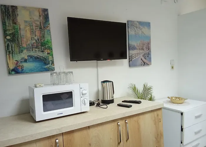 Oasis Studio Apartment In Tirana Near Bus Station