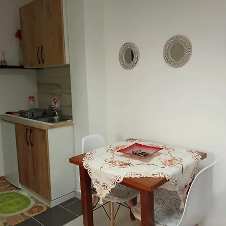 Oasis Studio Apartment In Tirana Near Bus Station Exterior photo