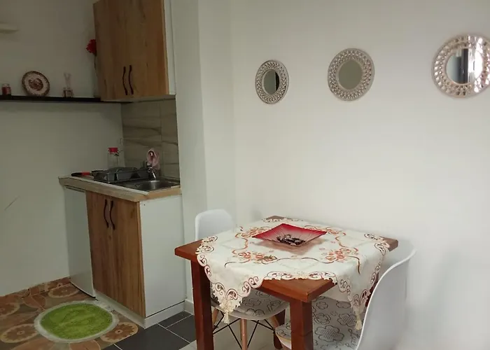 Oasis Studio Apartment In Tirana Near Bus Station