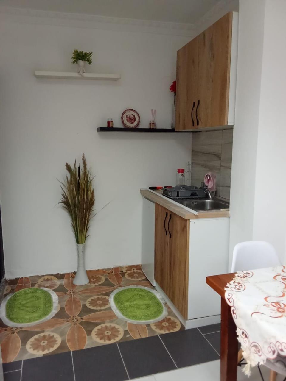 Appartement Oasis In Near Bus Station Tirana